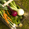 Vegetables
