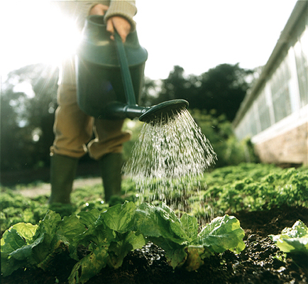 Watering Can